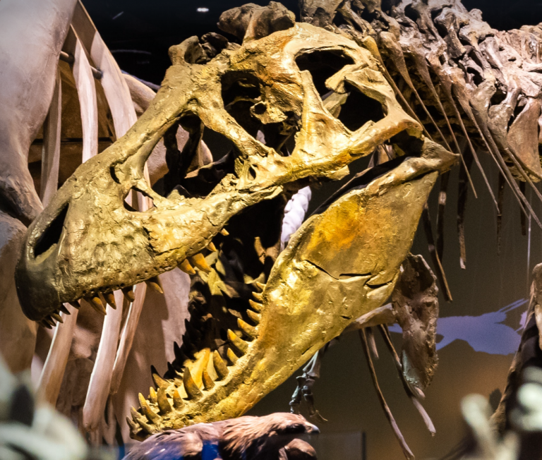 dinosaurs at perot museum